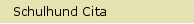 Schulhund Cita